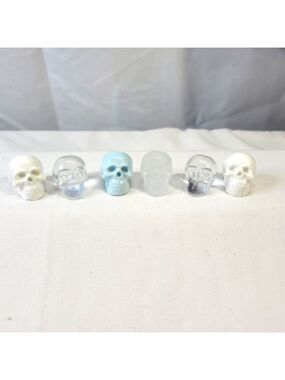 Handmade Resin Skulls Set 6